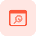 professional web development agency building high-performing websites